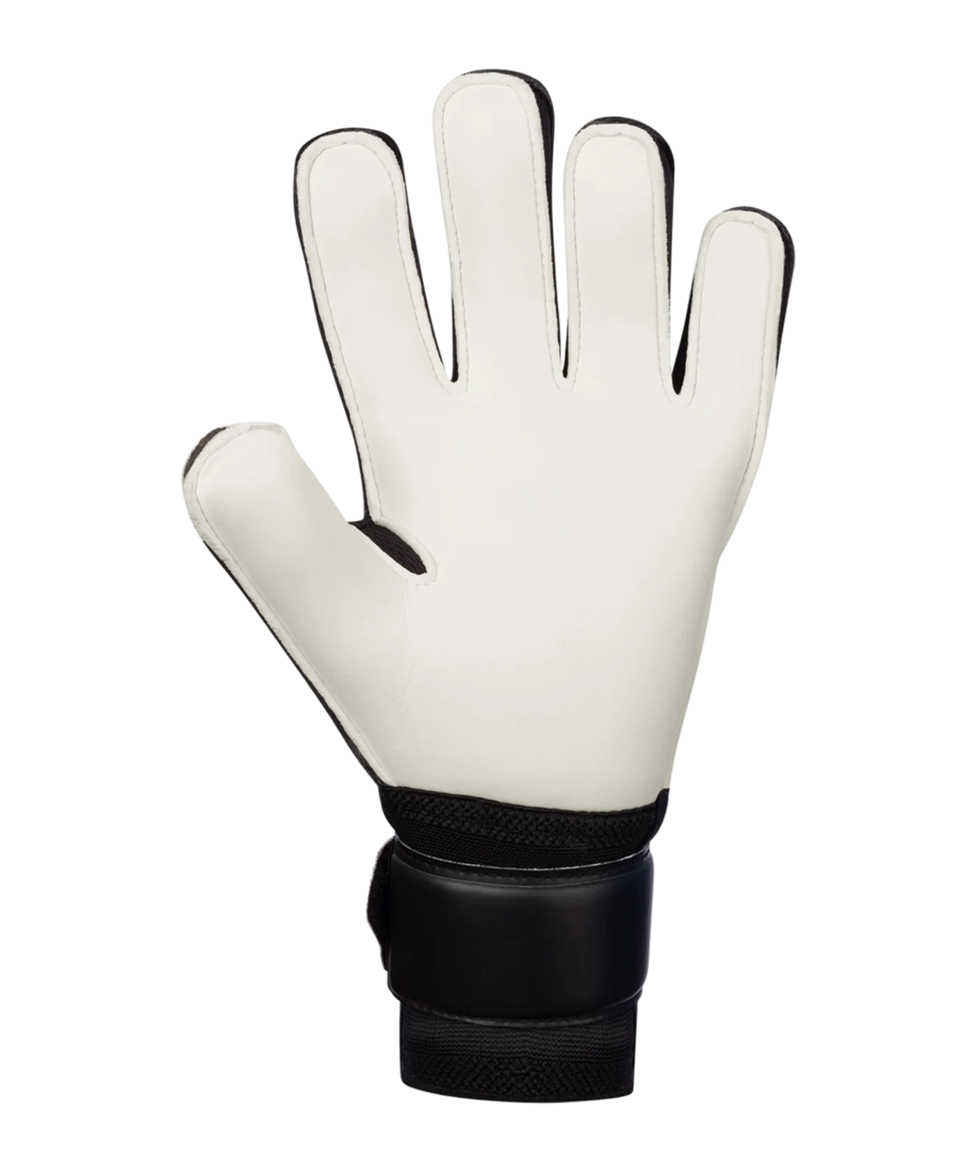 JAKO Animal Basic RC Protection Torwarthandschuhe Schwarz Weiss Grün F810