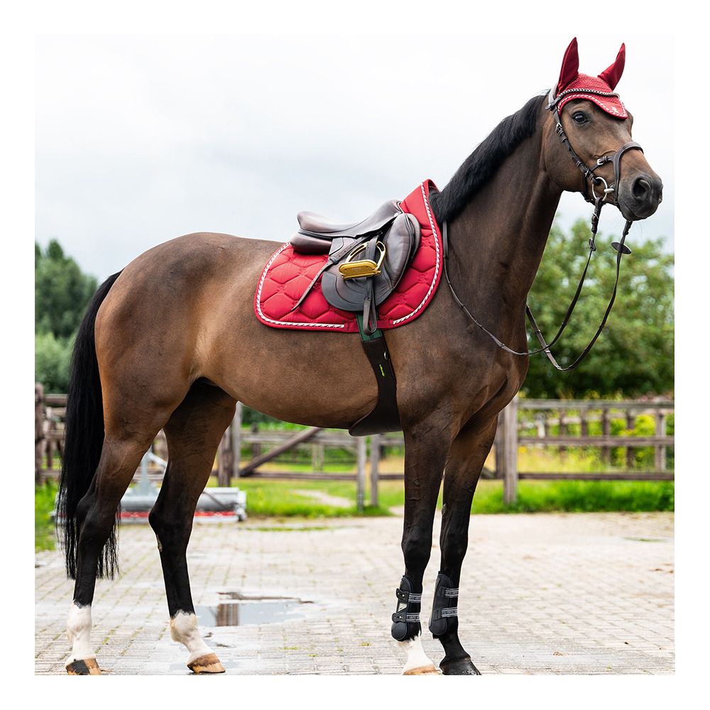 PS of Sweden JUMP SIGNATURE - Tapis d'obstacle chilli red