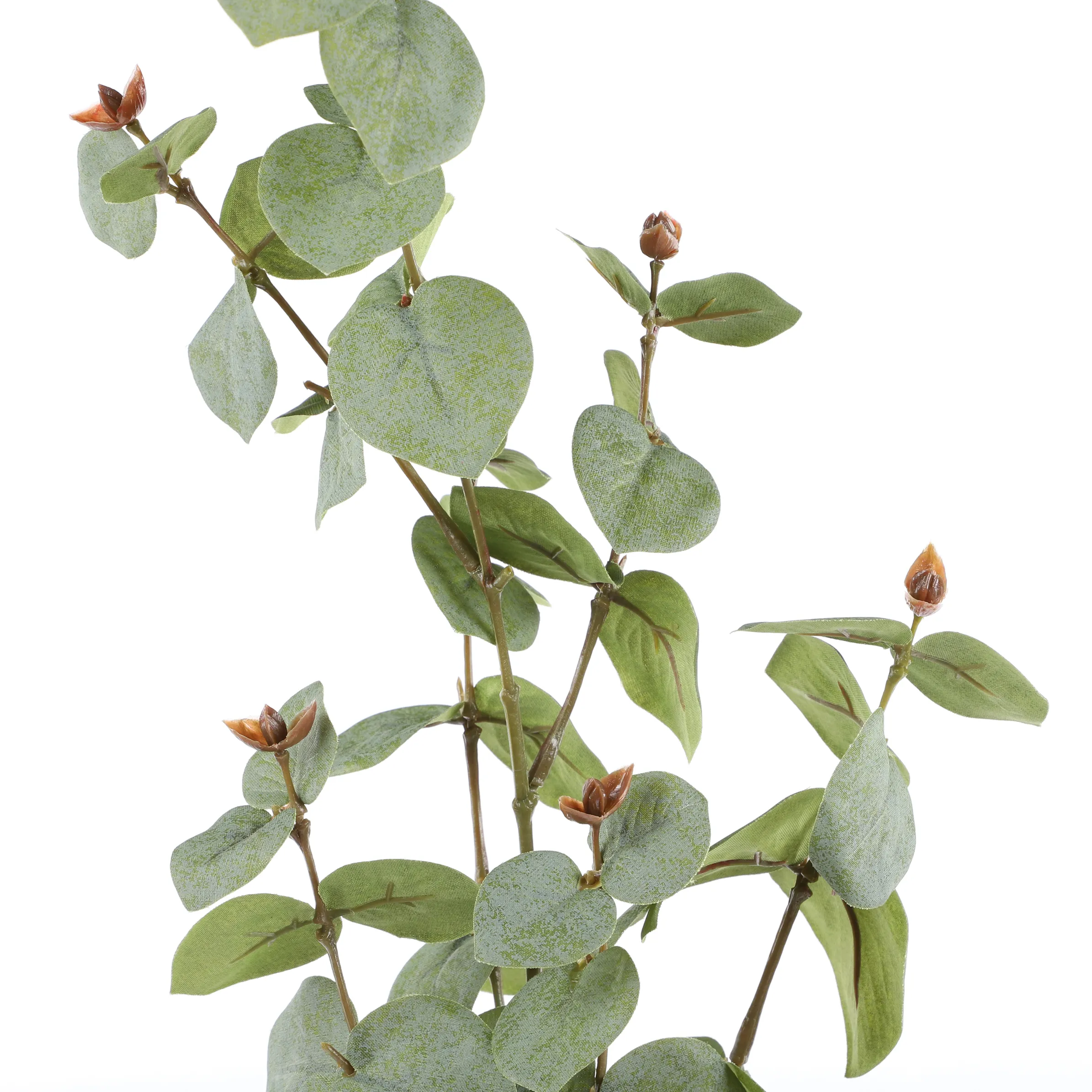 Eukalyptus Dekozweig ca.80-90cm