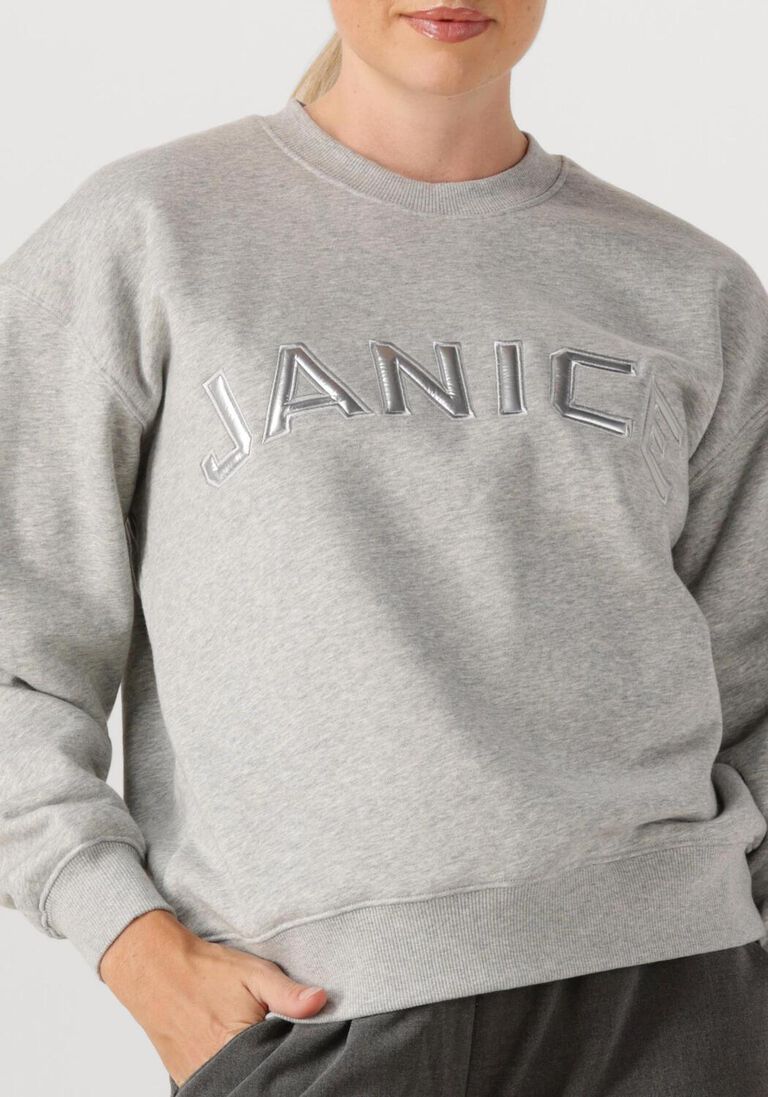 grijze janice sweater andy