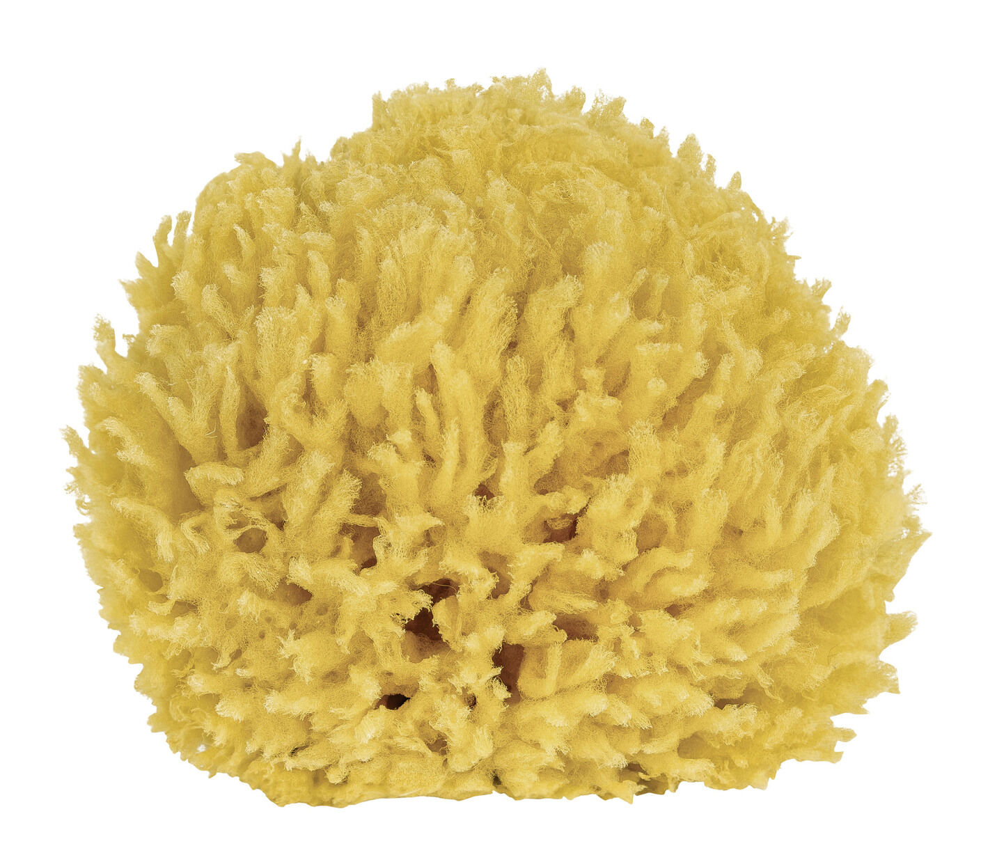 Badeschwamm aus natürlichem Material