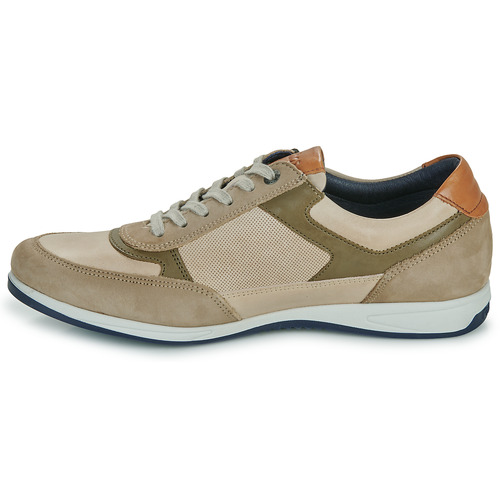 Fluchos - DANIEL - Beige / Kaki