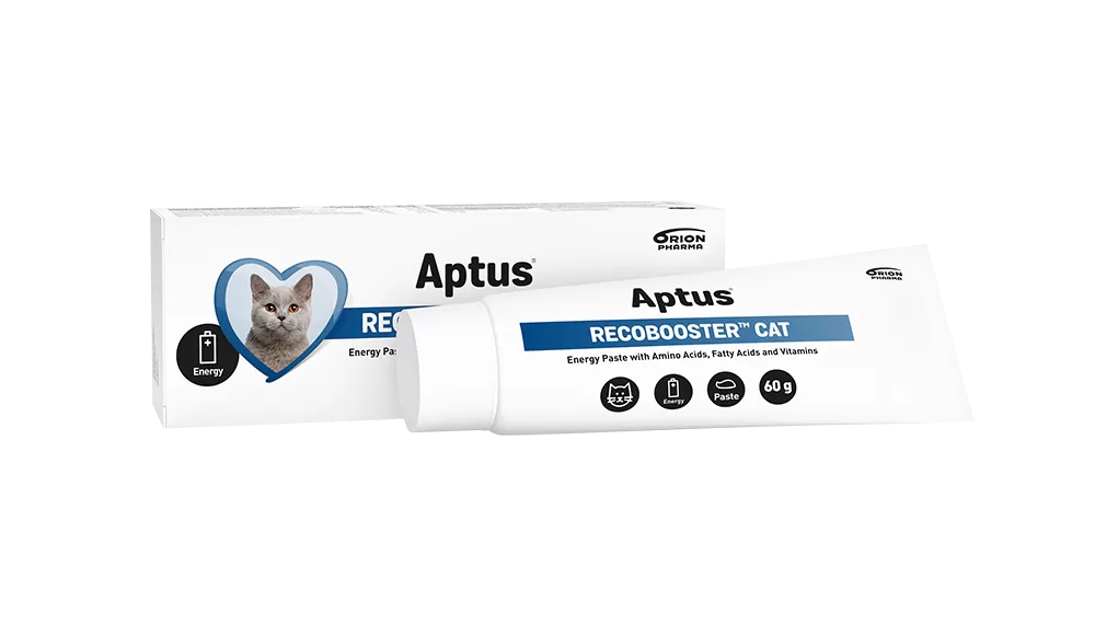 Aptus RecoBooster Cat