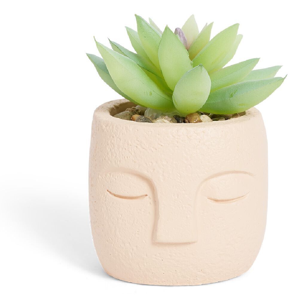 Plante artificielle pot ciment forme visage Ø6,5xH9cm
