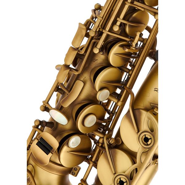 Selmer Signature Alto Sax SE-ASIP