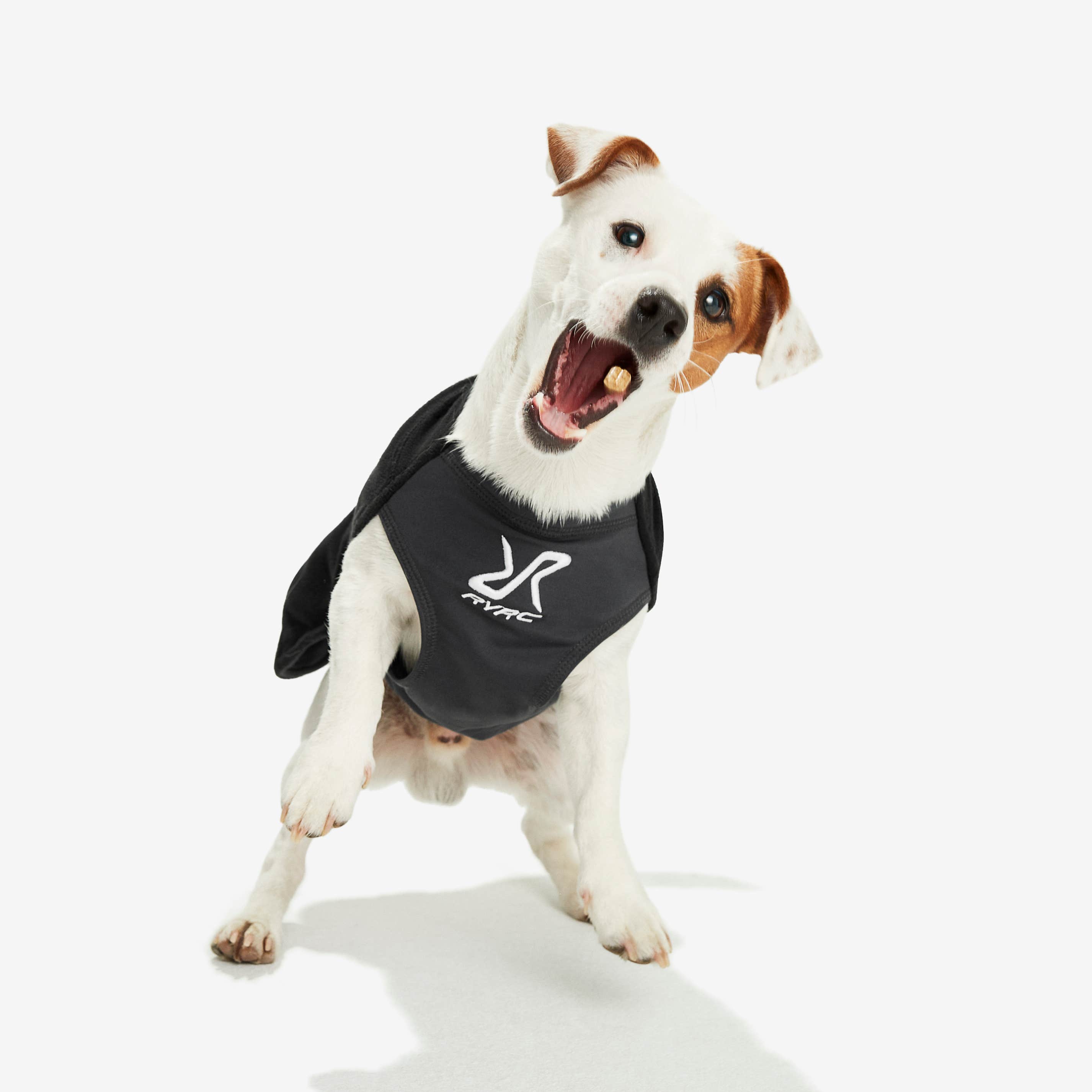 Trekker Fleece Hund Caviar