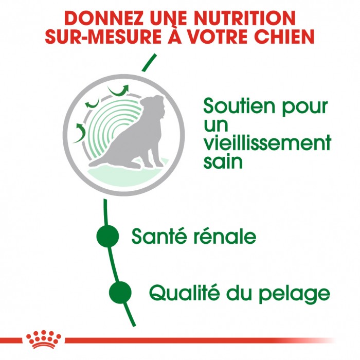Royal Canin Mini Ageing 12+  - Croquettes pour chien