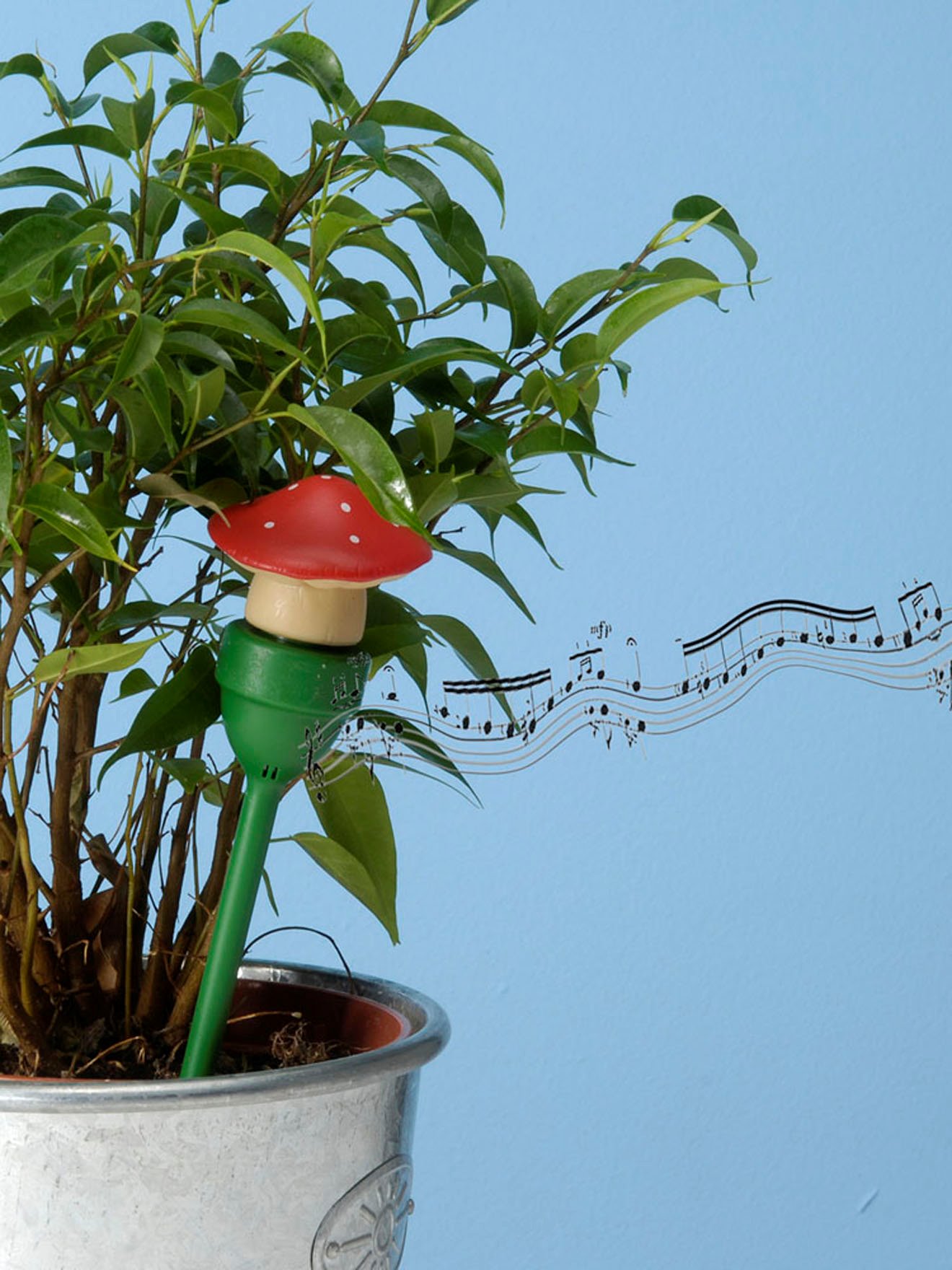 Avertisseur manque d'eau pour plante