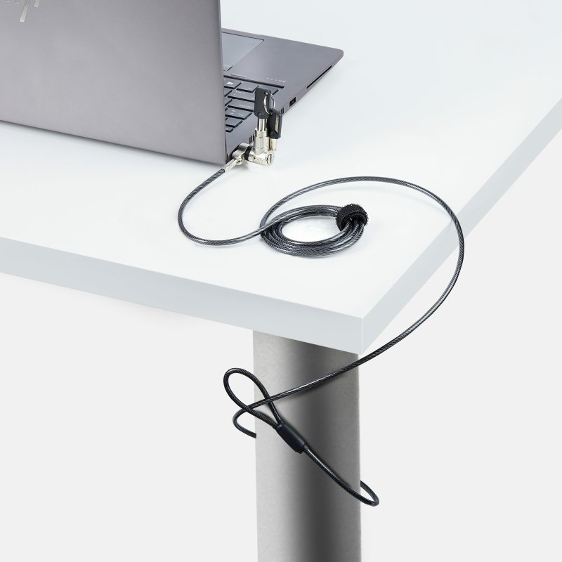 StarTech.com Lot de 25 Antivols Universels de 2m pour Ordinateur Portable, Serrure Universelle à Clé Maîtresse, Sécurité Informatique, Compatible avec Noble Wedge®/Nano/K-Slot, Câble Antivol Résistant aux Coupures