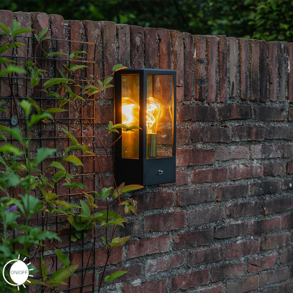 Buiten wandlamp zwart met goud schemersensor - Rotterdam