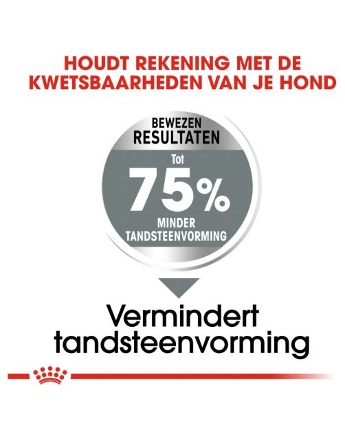 Royal Canin Dental Care Maxi - Hondenvoer