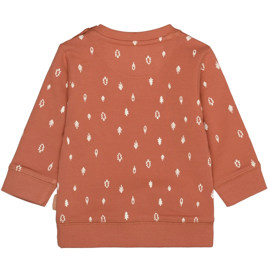 STACCATO Sweatshirt rust gemustert