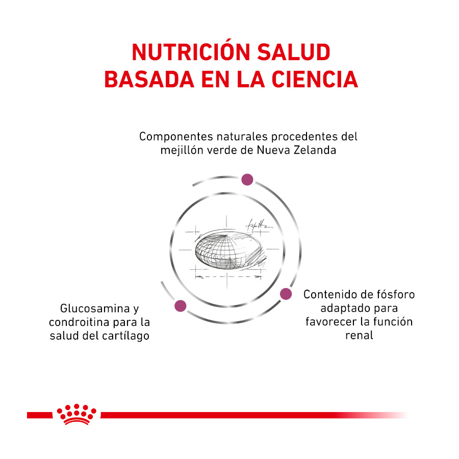 Ração Royal Canin Veterinary Mobility para gatos