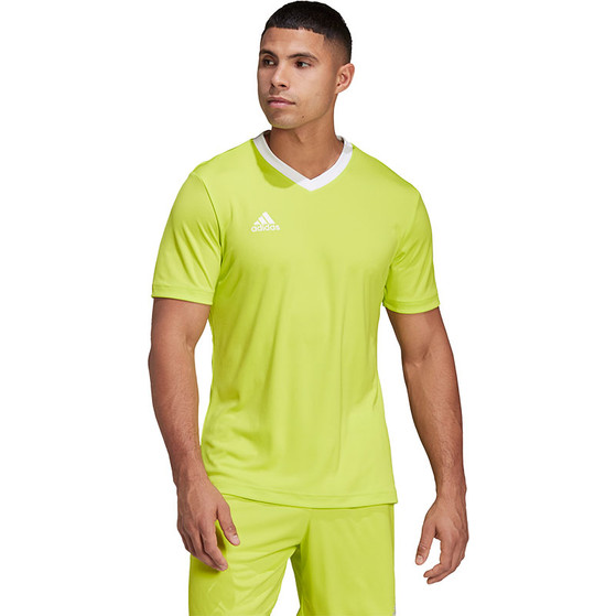 adidas Entrada 22 Training Shirt