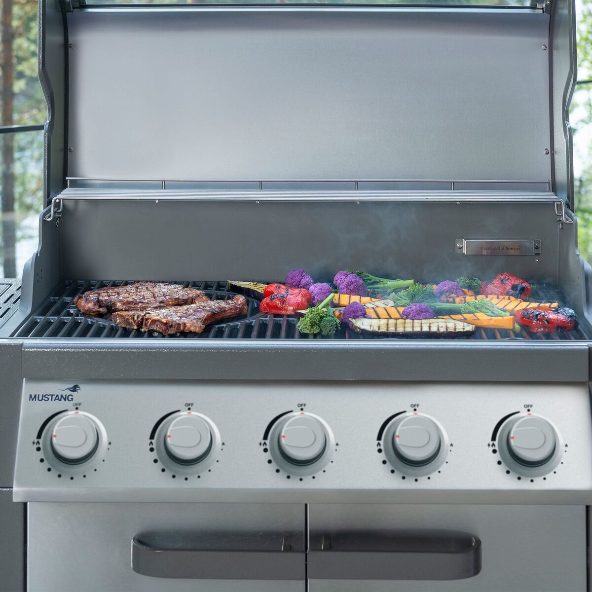 Charleston S 5+1 gassgrill