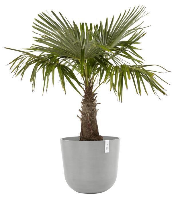Ecopots Kunststoff-Topf Oslo mit Wassersystem,