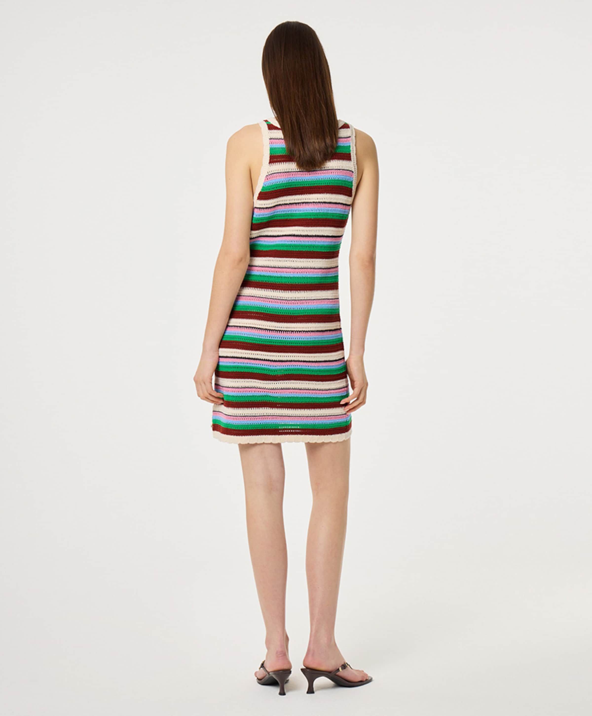 Fabienne Chapot Dames jurk multicolor