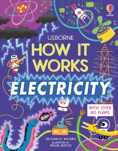 How It Works: Electricity - How It Works (Board book)