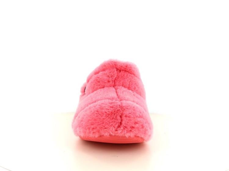 Verbenas Yeti Coral