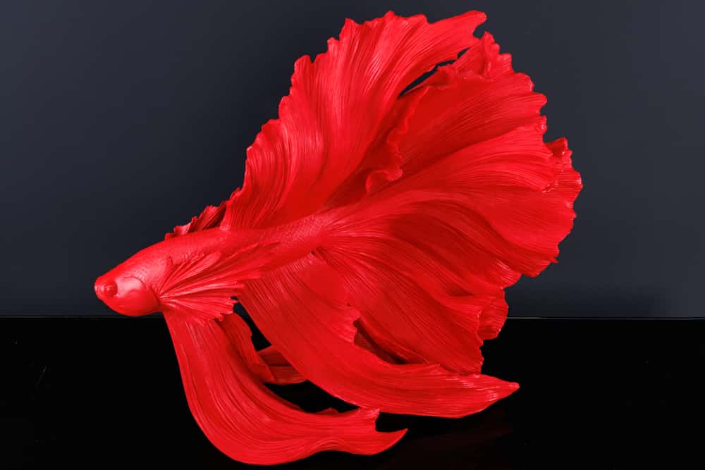 Design Deko Figur Kampffisch CROWNTAIL 65cm rot Betta Fisch Skulptur