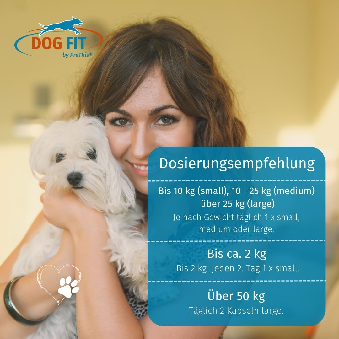 DOG FIT by PreThis® CARE senior » Stärkungs-, Gelenk- & Bandscheibenmittel für alte Hunde (large)