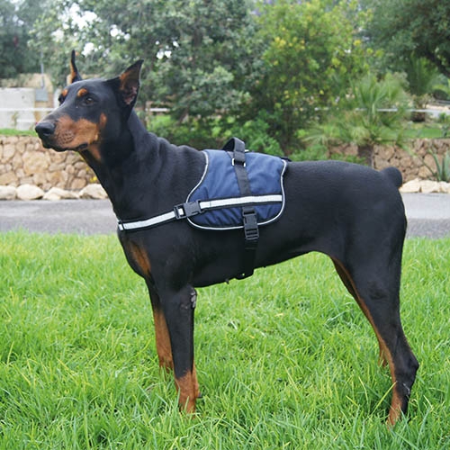 Arnês Ativo AZUL G