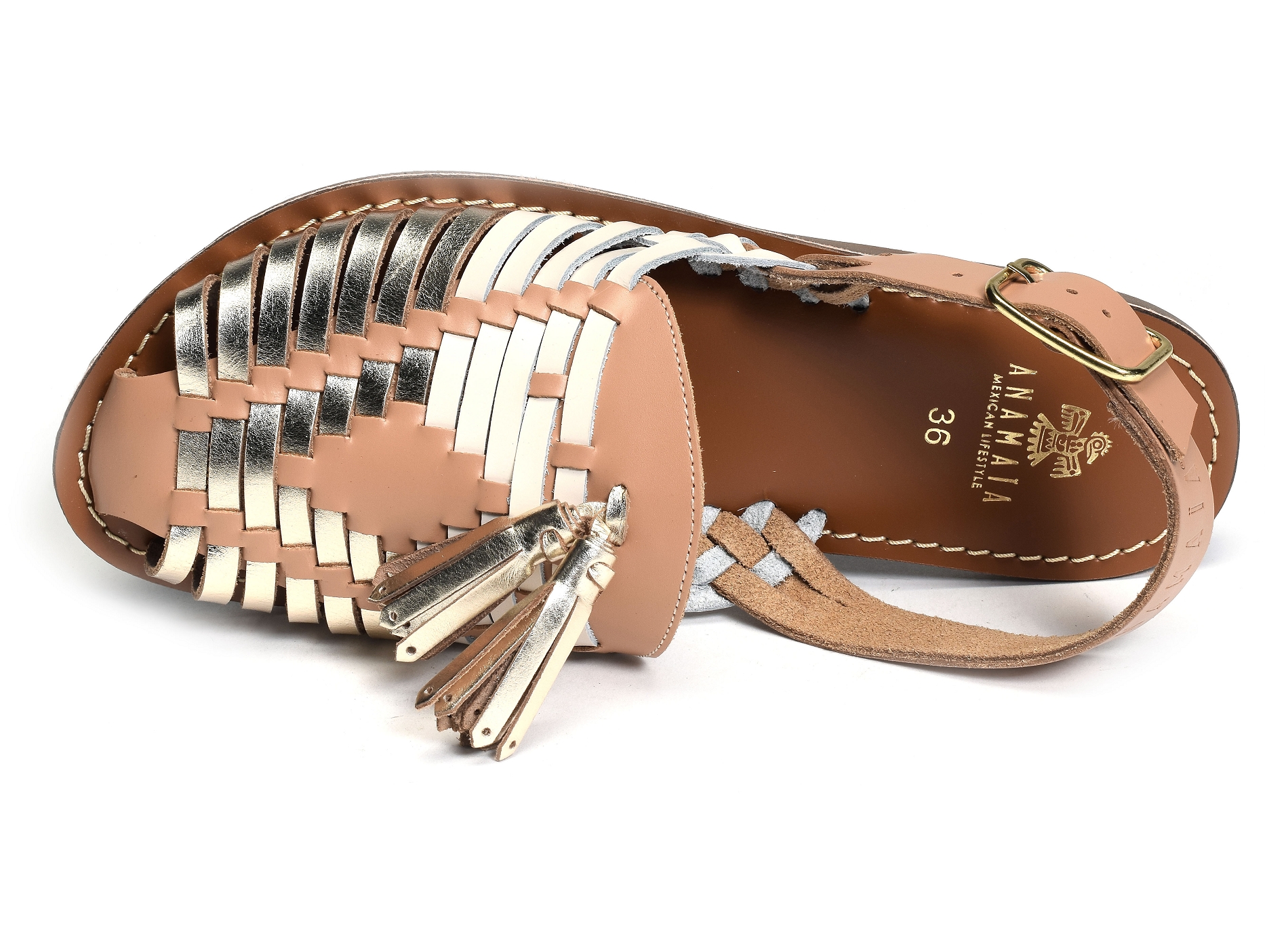 Ansb513 camel or