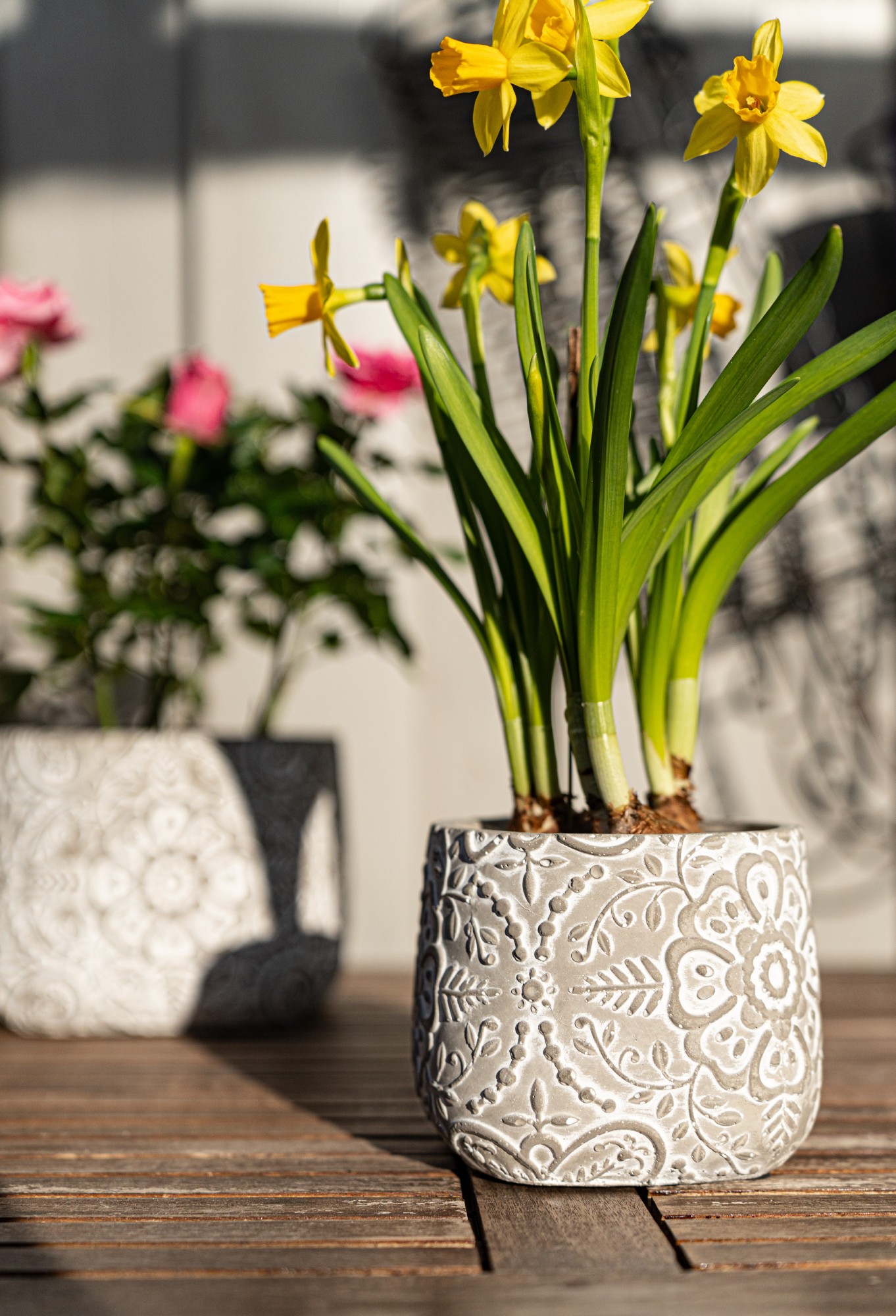 Zementtopf 'Pouvoir de fleurs' S, grau, whitewash, Ø 12 cm, H 10 cm günstig bestellen