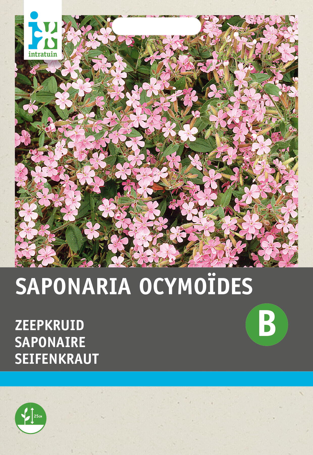 Intratuin bloemenzaad Zeepkruid roze (Saponaria ocymoides)