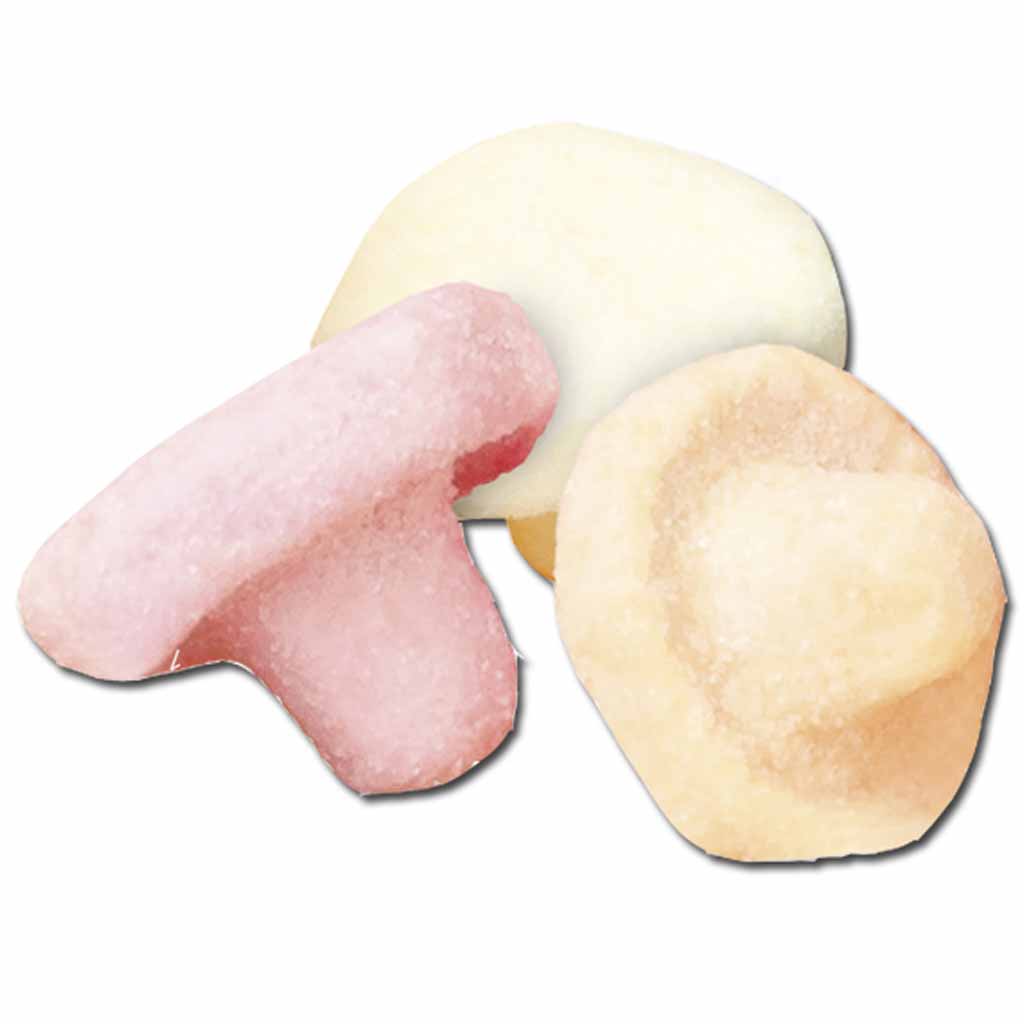 Red Band saure Pilze sour Mushrooms 680g MHD:29.8.25