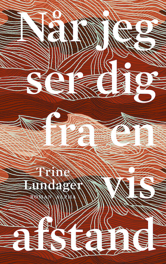Bøger Når jeg ser dig fra en vis afstand