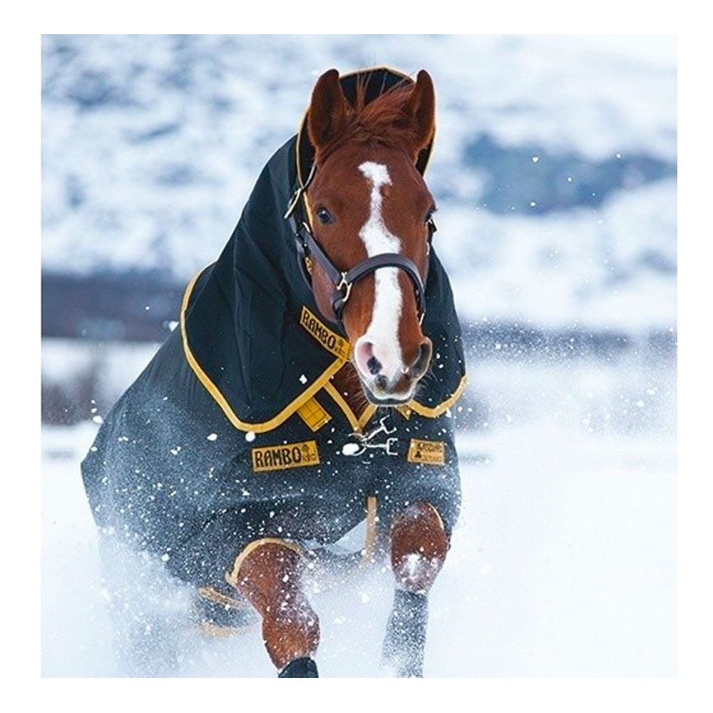 Horseware RAMBO SUPREME 50G - Couverture de paddock + couvre-cou navy/orange/tan/brown