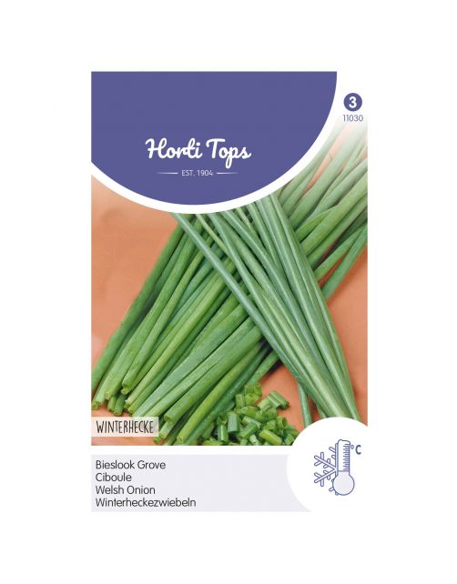 Hortitops Bieslook Grove - Kruidenzaden - 2 g