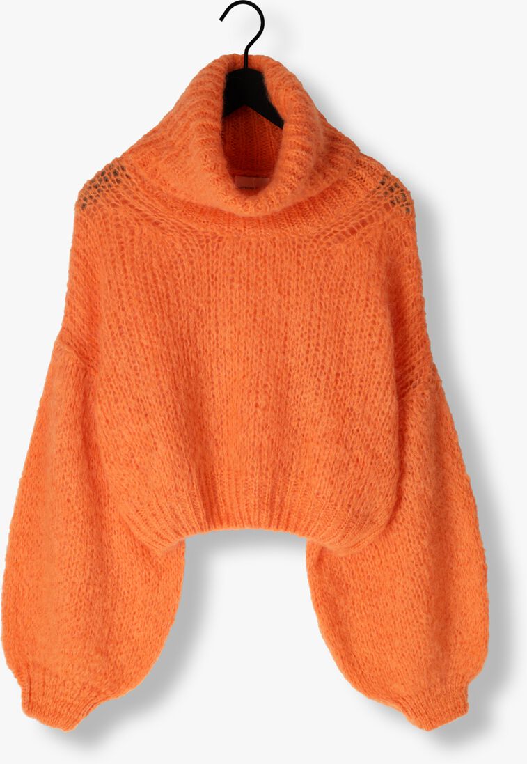 AMERICAN DREAMS oranje american dreams coltrui pepper roll neck cropped