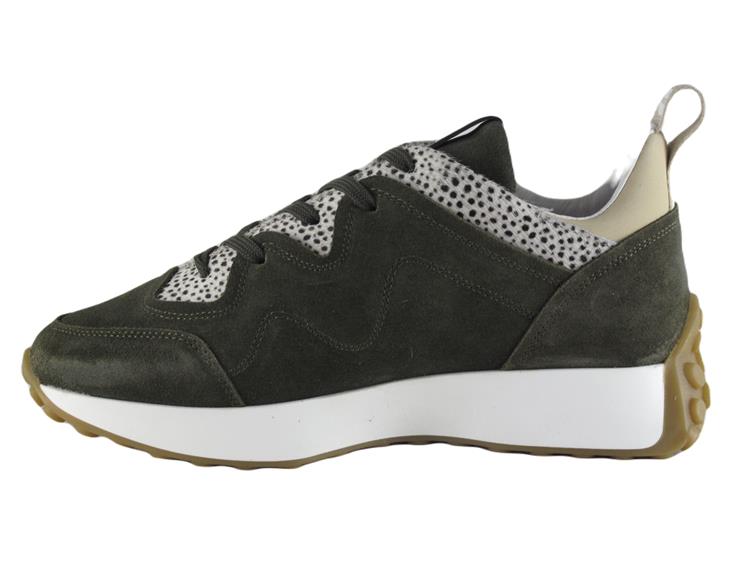 Maruti 66.1642.01 Groen