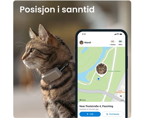 Tractive Tractive GPS CAT Mini - Brown