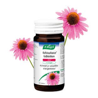 A.Vogel Echinaforce Sterk**   Energie* Tabletten 30ST