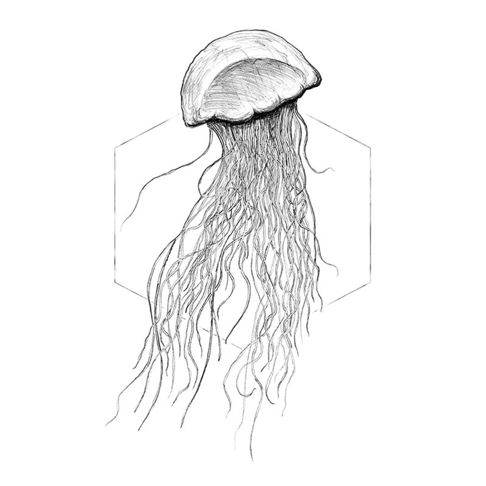 Wandbild JELLYFISH WHITE - weiß-schwarz - 50x70 cm