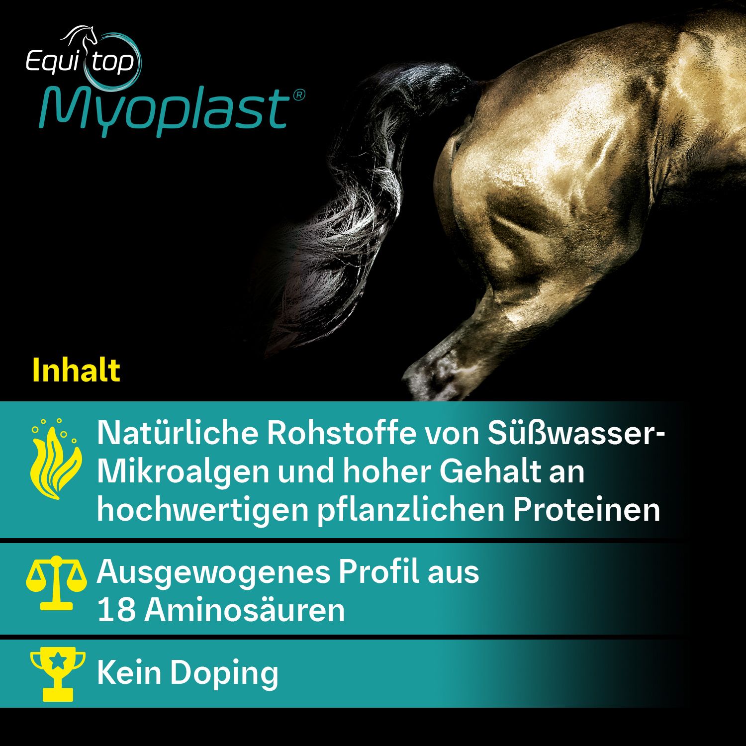 Equitop Myoplast Granulat