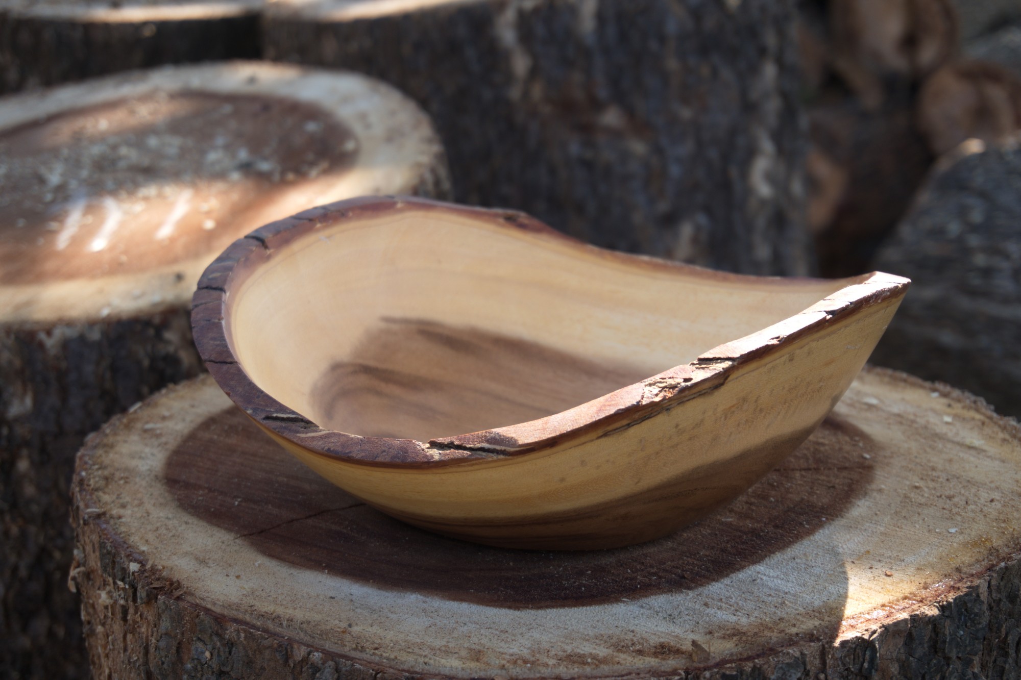 Baumrinden-Schale oval, Akazienholz, B 25 cm, L 22 cm, H 8,5 cm von fischer's lagerhaus