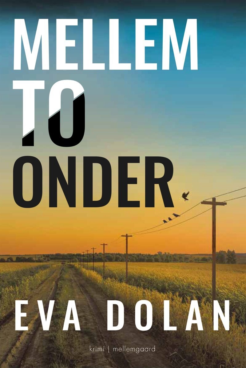 Mellem To Onder - Eva Dolan - Bog