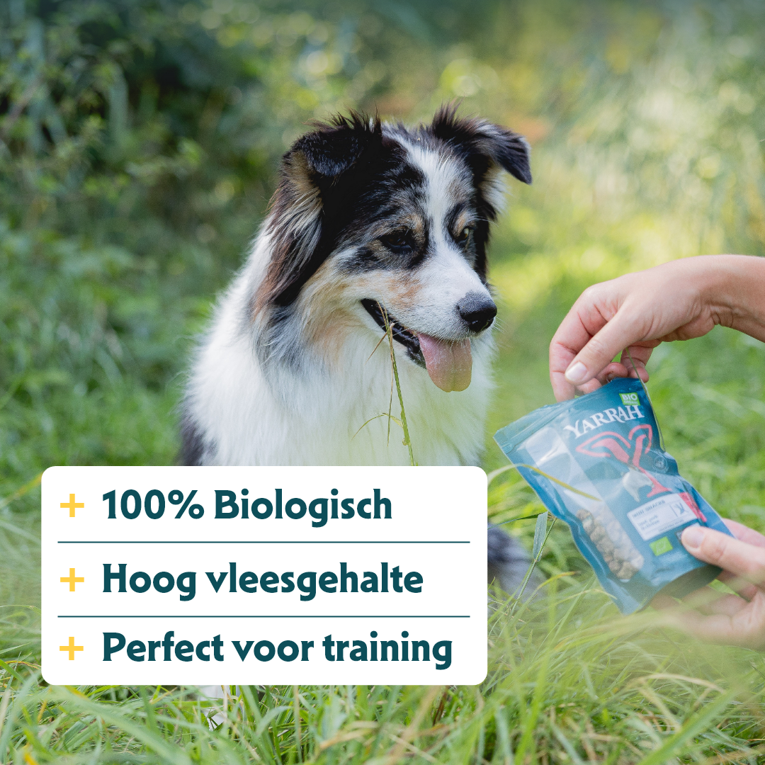 Yarrah - Hondensnack Mini Snack Bio