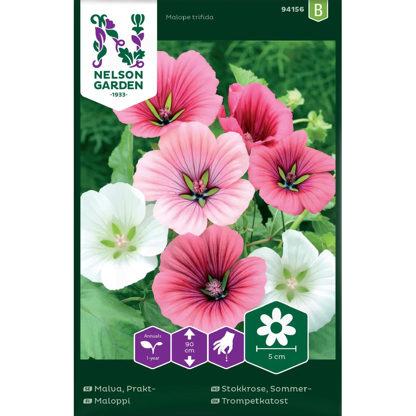 Malope trifida Sommerstokkrose