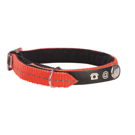 Collier nylon chat Lost orange :Longueur 30 cm