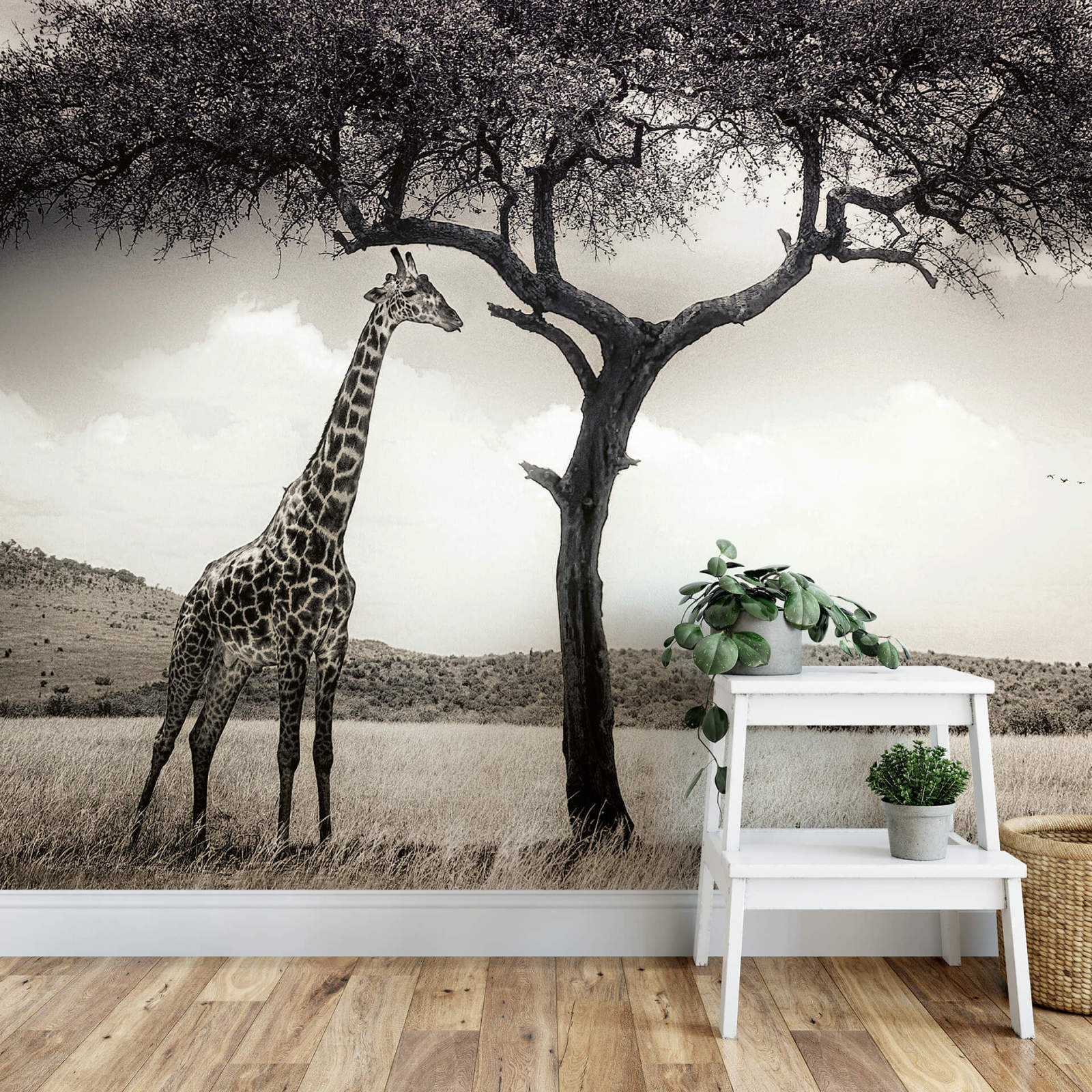 Fototapete DESIGNWALLS 2.0 - grau-weiß - Giraffe - 2,6 Meter