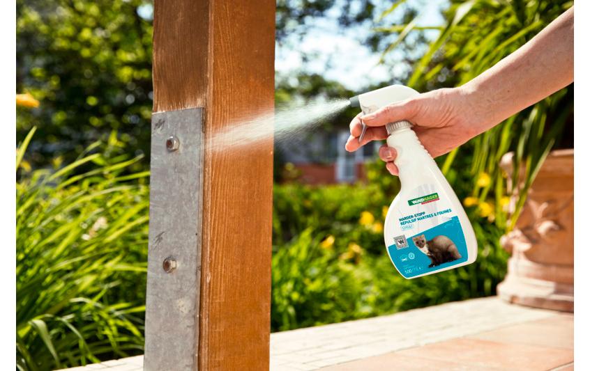 Marder-Stop Spray 500 mlGebrauchsfähiges, natürliches Abwehrmittel gegen Marder