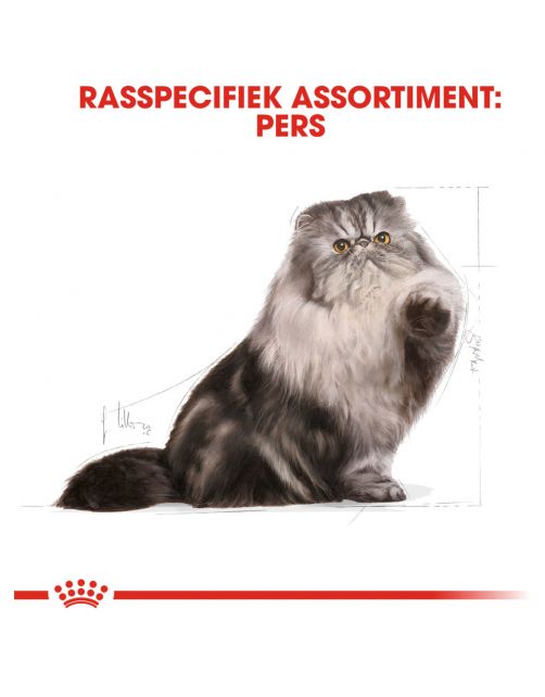Royal Canin Persian Adult - Kattenvoer