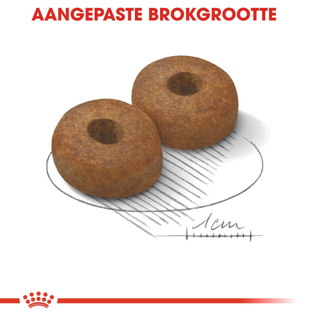 Royal Canin Maxi Ageing 8  - Hondenvoer - 3 Kilogram - gevogelte