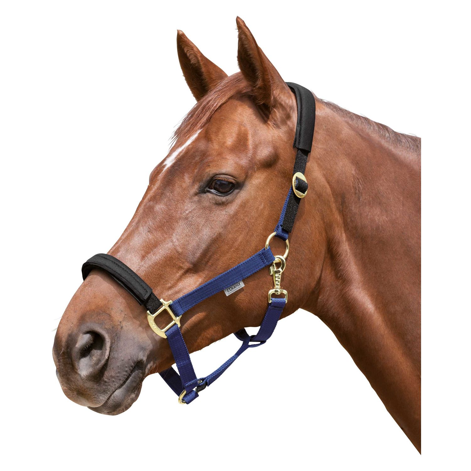 EQUEST Halfter Equi-Stretch  - marine