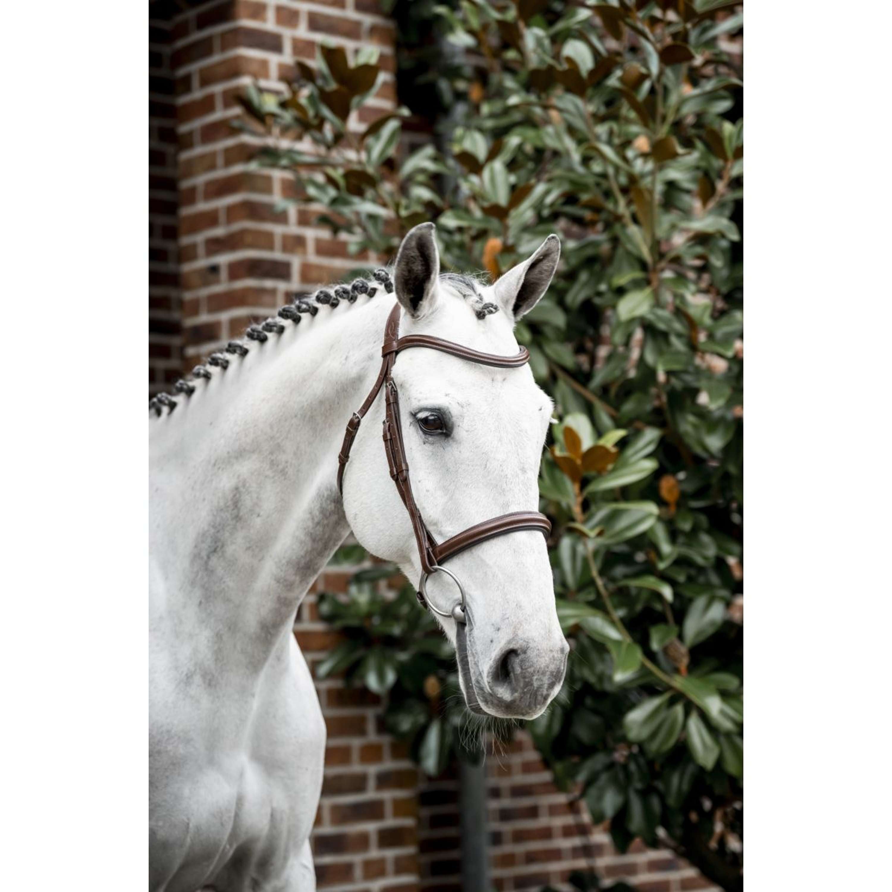 Horseware Hoofdstel Cavesson Bruin